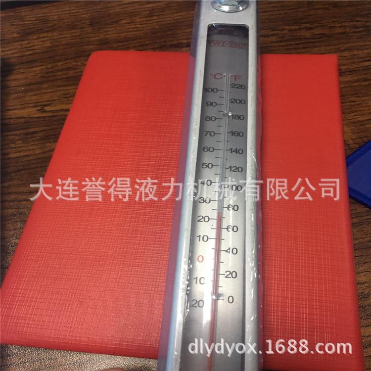 各种型号液力偶合器油位计，液位计调速型耦合器YWZ-80T