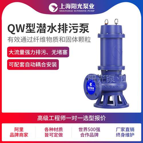 QW型无塞堵CPU 潜动式电动潜水泵移不锈钢大流量水泵报价 定金