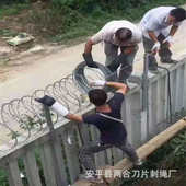 不锈钢直条镀锌刺网品字型刀片刺绳焊接刀片刺绳