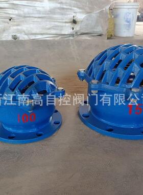 底阀H42X-10C底阀铸铁底阀法兰底阀南高阀门大口径底阀