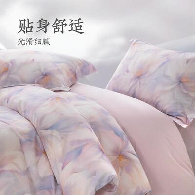 远梦家访奢柔棉四件套床单款套件四件套全棉磨毛床上四件套床品