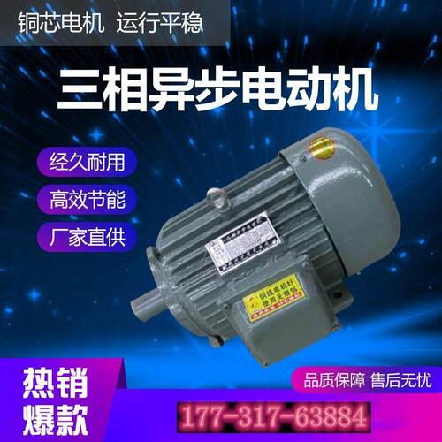 YE2/YX3三相异步马达YE3-180L-4 22/30/37/45KW电机全铜马达