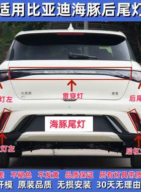 适用于比亚迪海豚后尾灯组合后灯回覆反射器煞车制动总成海豚配件