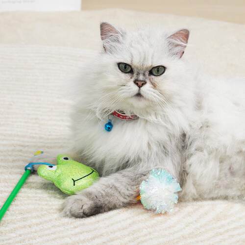 逗猫棒猫咪玩具长杆羽毛宠物自嗨解闷耐咬逗猫神器猫玩具厂家