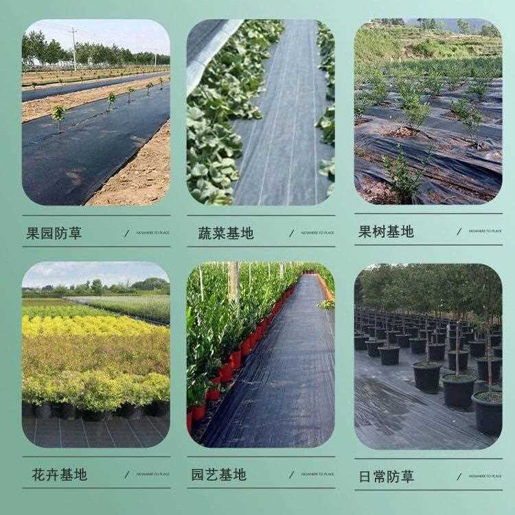 境定制防草布除布农用果园地布地膜型生态遮草布草跨盖新草布图片