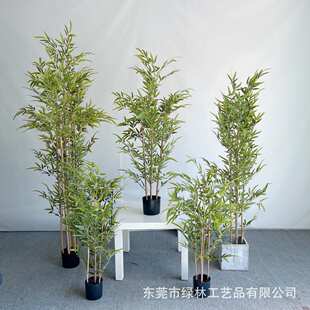 仿真竹子新中式盆景假竹子盆栽富贵竹国潮庭院落地植物摆件假绿植