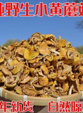 新疆包邮东北野生小黄松蘑500g蘑菇丁大兴安岭干货土特产