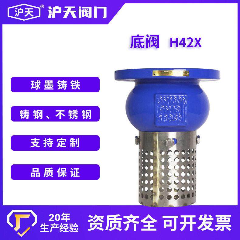 沪天阀门底阀H42X出口球墨铸铁体不锈钢网DN100