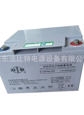 双登蓄电池12V100AH铅酸免维护6-GFM-100型号参数 直流屏/EPS电源