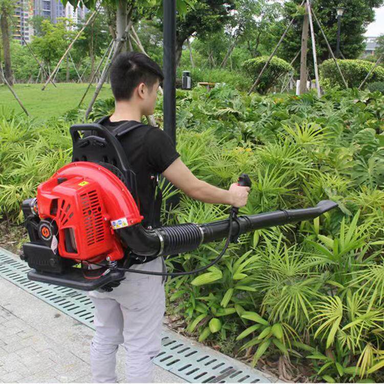 道什威尔大功率灭火鼓风机园林工程环卫除尘吹叶机汽油动力吹雪机