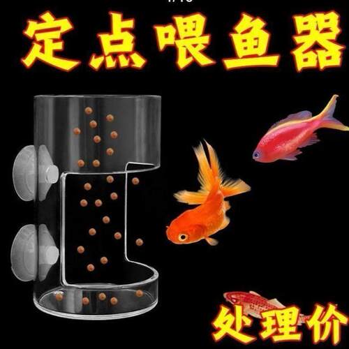 鱼缸喂食器壁挂式喂食小型投食管亚克力喂食器定时喂食器除螨贴