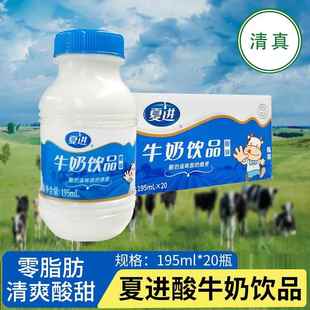 清真夏进酸牛奶饮品乳饮料瓶装营养乳品195ml*20瓶整箱儿童成长奶