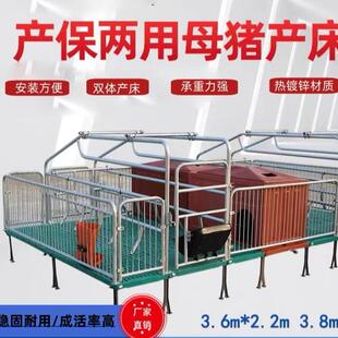 直销母猪双体产床产保两用一体床热镀锌材质产床