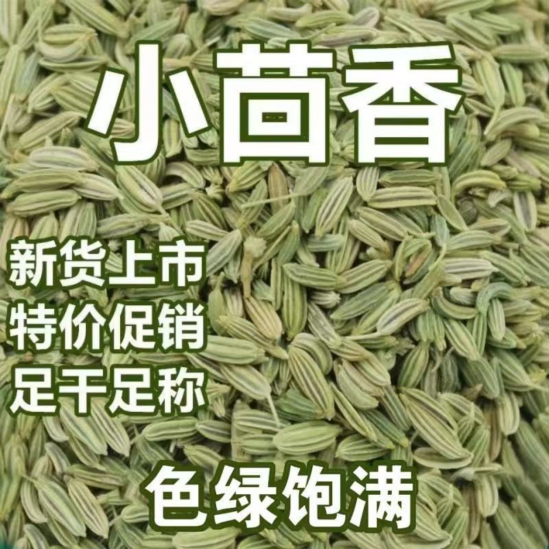 甘肃特级小茴香粒籽茴香包邮家用商用调料大全香辛料卤肉底料