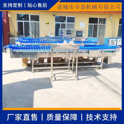 百香果凤梨分拣机 水果分选机 柑橘全自动称重料盒式重量分级机