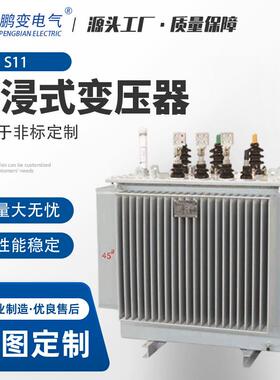 鹏变电气源头工厂生产油1浸变压器 S3系列油浸式变压器全式铜光伏