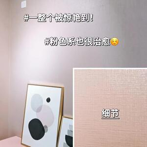 跨境工厂水性环保室内墙面艺术漆防潮防霉质感布拉诺艺术涂料