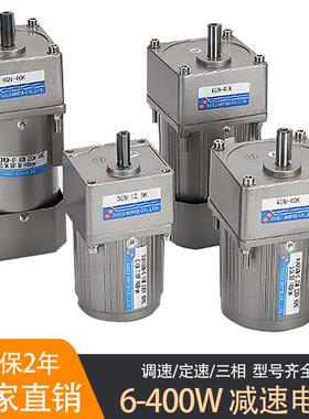 台力齿轮减速电机220v可调速120/200/250/400/180w流水线 线马达