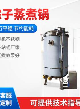 大型高温高压粽子煮锅酒酿高粱蒸煮锅高压蒸煮锅立式商用蒸煮锅