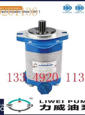 动力转向油泵QC20/16-KMS  天力合肥力威汽车齿轮油泵 转向助力泵