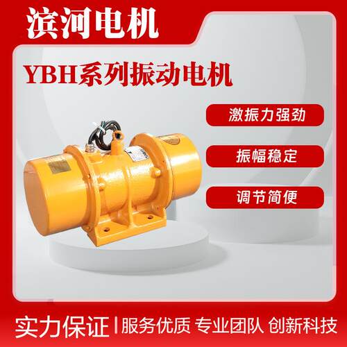 YBH-0.5-6振动电机三相异步震动电机功率0.12W