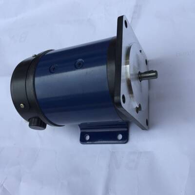 0ZYT51A3113博山流微电机直电机图片厂家80W110V1509r/min电0机