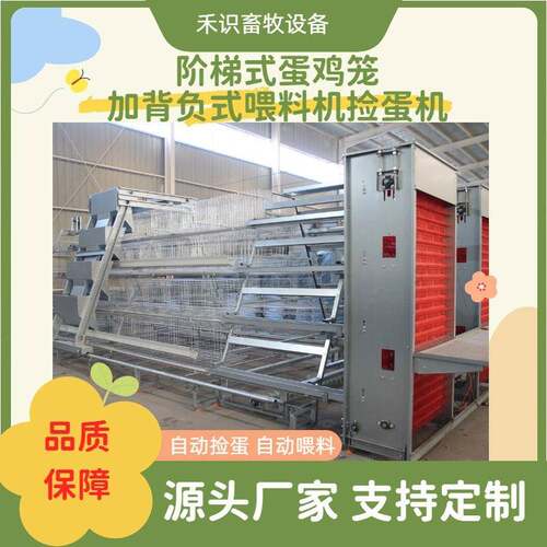 全自动阶梯蛋鸡笼加背负式喂料机捡蛋机自动集蛋系统自动喂料系统