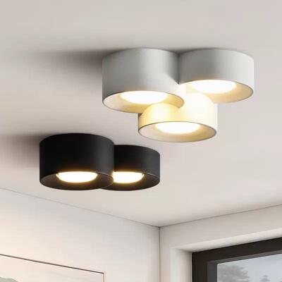 全光谱护斗厅胆灯明装灯双眼头无筒主灯客入户玄关RMN走廊过道灯