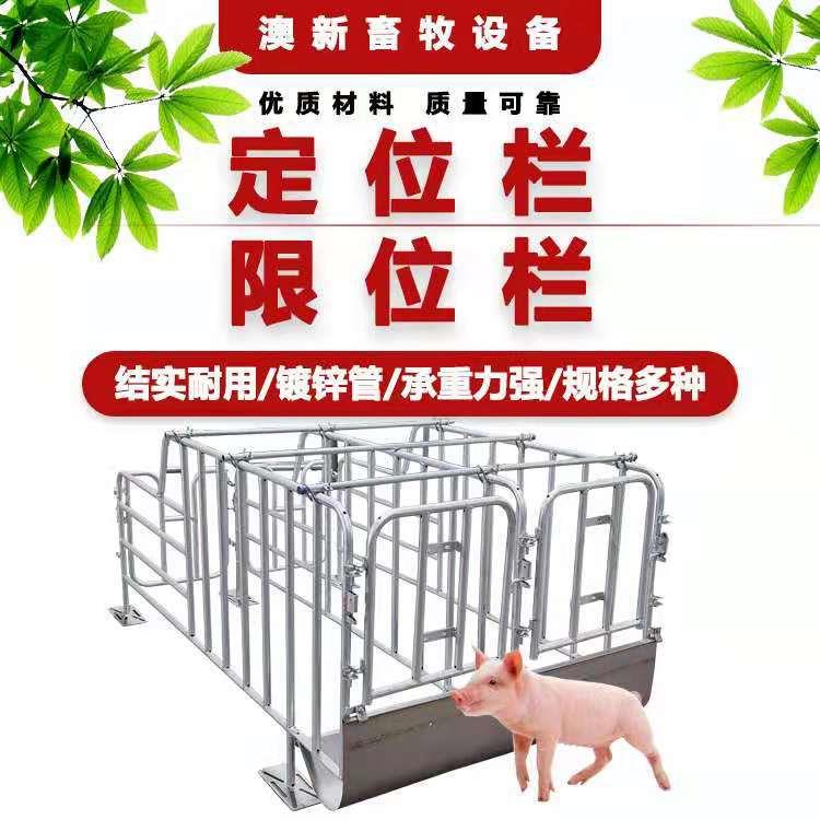 供应猪用定位栏限位栏 猪场养猪带食槽养猪设备猪定位栏厂家