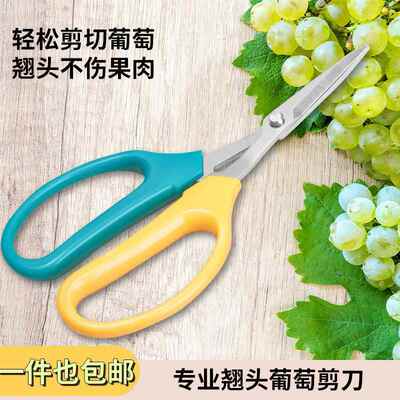 果农专业不锈钢锋利翘头葡萄剪刀角度设计不伤果省力枇杷修剪工具