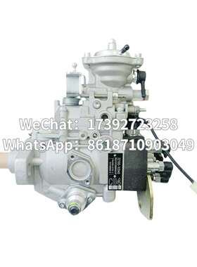 高品质喷油泵总成 22100-1C040 VE6/12F2000RND519 196000-5192