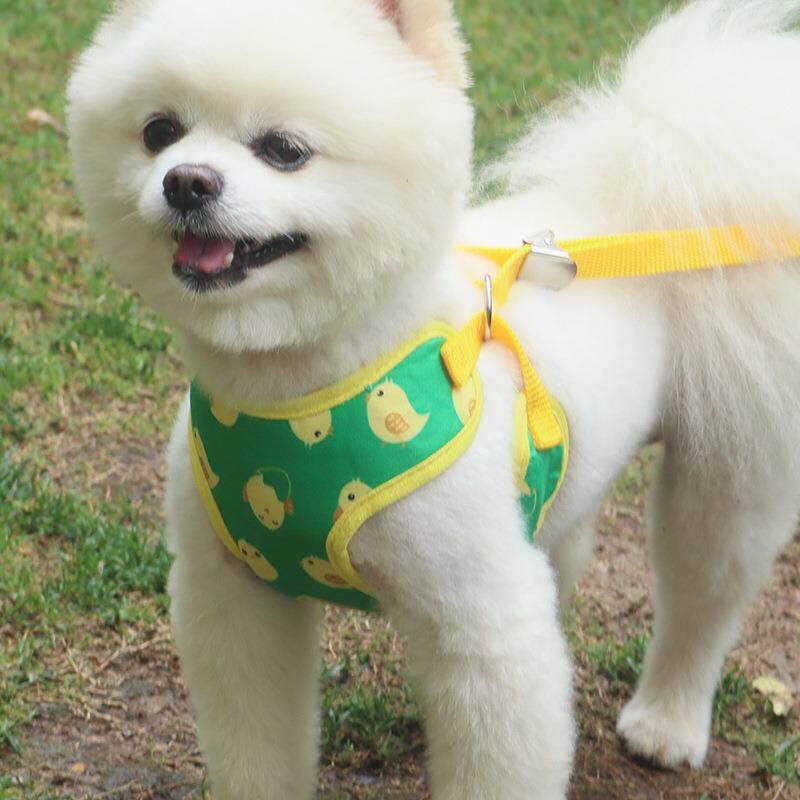 厂家直销背心式宠物牵引绳 网布透气遛狗绳子 猫咪小型犬胸背带