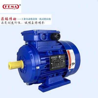 菲玛FEMA8012三相异步电机0.75KW法兰机械设备搭配蜗轮蜗杆减速机