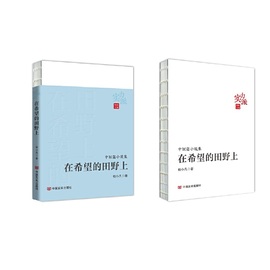 在希望的田野上 “实力派”系列丛书 杨小凡 中国言实出版社