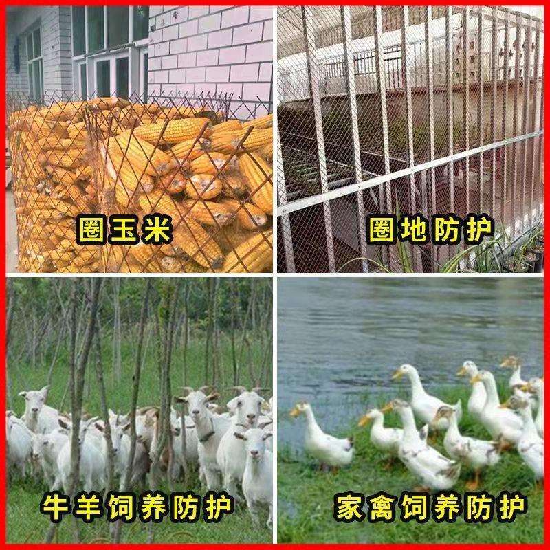 红漆防锈菱形网家用养殖网鸡鸭围网圈玉米网园林圈地围护网