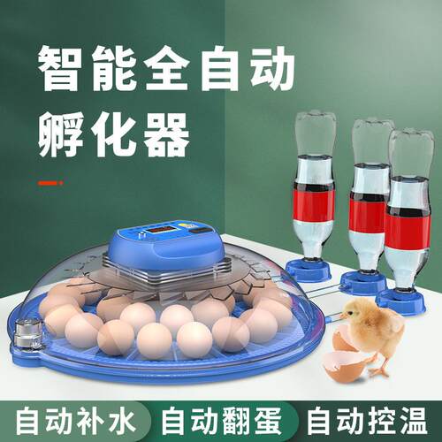 小飞碟孵蛋器孵化箱小型家用智能全自动芦丁鸡鹦鹉鸟蛋小鸡孵化器