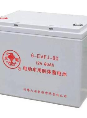 火炬蓄电池6-CTM-200 12V200AH电力设备 船舶设备用