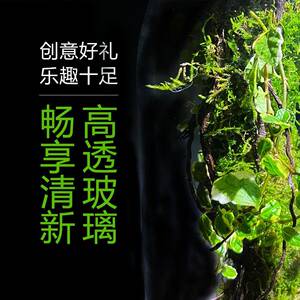 【阿凡空达雳生态瓶】微景观花叶霹植物瓶室桌L061内面阳台摆件净