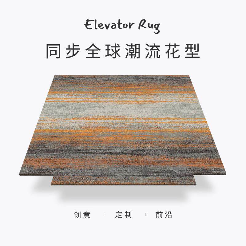 设计推荐卡托 托系列家用电梯地毯别墅入户门现代轻奢高端定制异