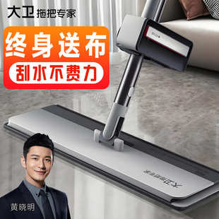 大卫拖把P20新款家用懒人一拖免手洗平板拖地拖布干湿两用净