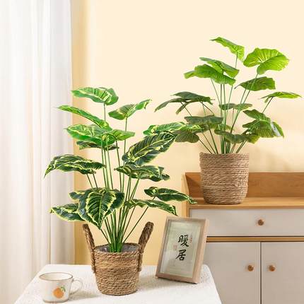 仿真绿植龟背竹小盆栽摆件北欧ins风假植物桌面室内装饰盆景落