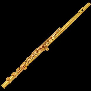 17开闭孔C调初准学儿门童考级成人专业 镀银入长笛16 正品 标型正品