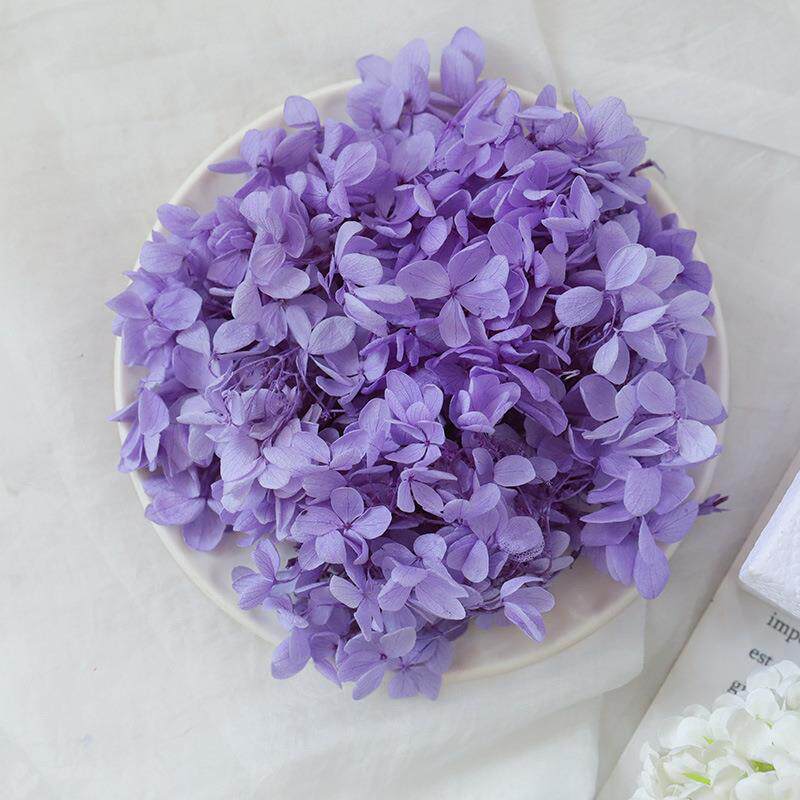 永生花A级木绣球DIY材料成品干花花材保鲜花压花花艺不凋谢手工花