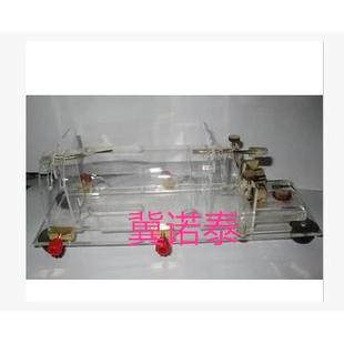 大鼠固定器 大鼠固定器250克350克大鼠固定器 大白鼠固定器