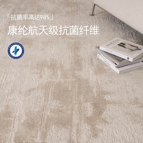 202垫6新款防水无KKP胶毯素色现代简约客厅洗卧室沙地发茶几免可