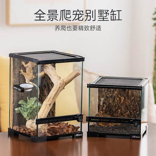 JKZOO爬虫雨林生态造景缸爬宠饲养箱蜥蜴睫角R属守宫角蛙饲养缸