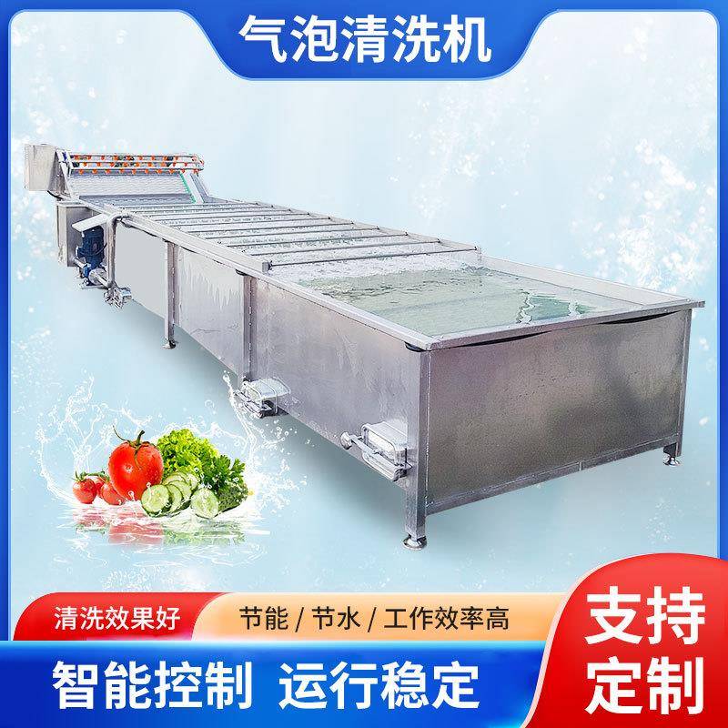 气泡清洗机生菜油菜多功能气泡清洗机鲜玉米水果高压喷淋清洗设备