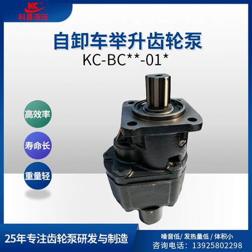 -BC众德规格自卸车高压液压齿轮油泵海沃翻斗车侧出后出泵