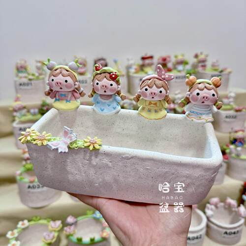 哈宝丨售罄待补货 手工粗陶猪猪盆超透气生石花PP肉锥盆一物一拍