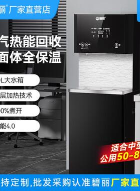 碧丽商用开水器饮水机净水直饮机反渗透办公学校单位JO-K20G